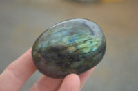 Polished Lovely Mixed Selection Of Palm Stones  x 12 From Madagascar - TopRock
