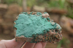 Natural Micro Botryoidal Crystalline Malachite Specimens  x 4 From Tenke Fungurume, Congo - TopRock