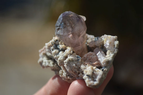 Natural Window Amethyst Crystal Specimens  x 12 From Chiredzi, Zimbabwe - Toprock Gemstones and Minerals 