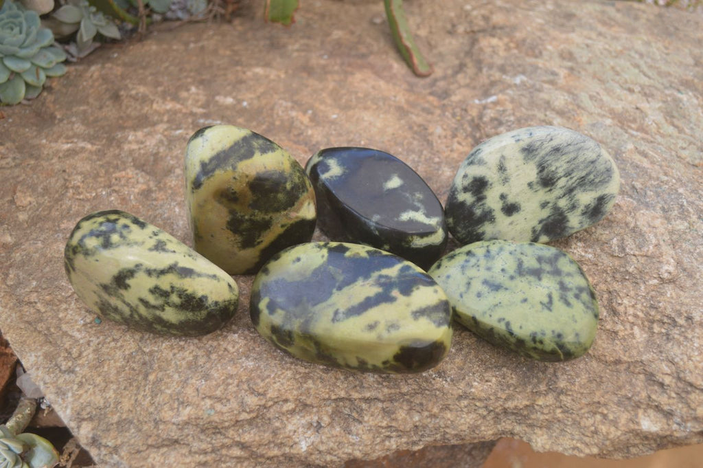 Polished Leopard Stone Free Forms  x 6 From Inyanga, Zimbabwe - Toprock Gemstones and Minerals 