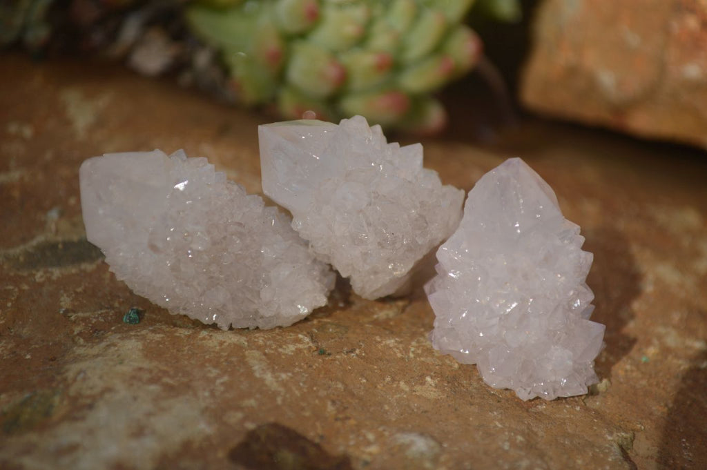 Natural Small White Spirit Quartz Crystals x 70 From Boekenhouthoek, South Africa - Toprock Gemstones and Minerals 