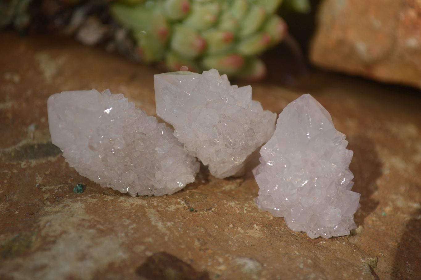 Natural Small White Spirit Quartz Crystals x 70 From Boekenhouthoek, South Africa - Toprock Gemstones and Minerals 