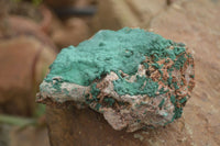 Natural Micro Botryoidal Crystalline Malachite Specimens  x 4 From Tenke Fungurume, Congo - TopRock