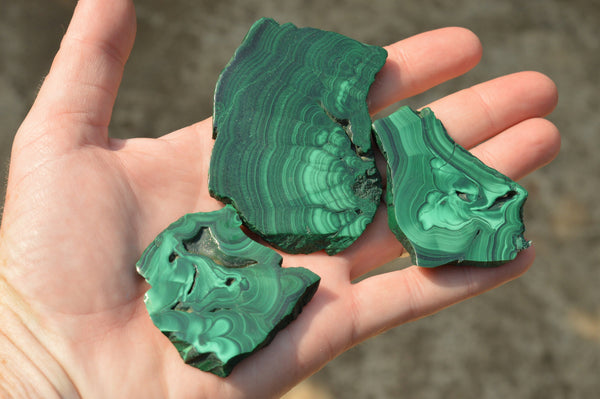 Polished Extra Large Malachite Slices With Beautiful Flower & Banding Patterns  x 4 From Congo - TopRock