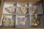 Natural Spirit Quartz Clusters x 6 From Boekenhouthoek, South Africa - Toprock Gemstones and Minerals 