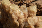 Natural Cascading Smokey Phantom Quartz Cluster x 1 From Luena, Congo - TopRock