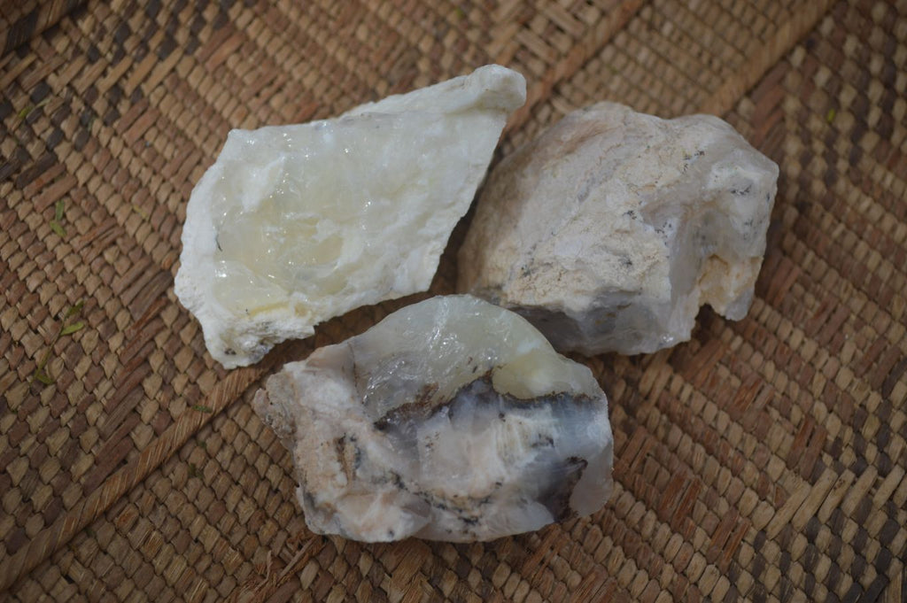 Natural Rough Dendritic White Opal Specimens  x 24 From Namibia - Toprock Gemstones and Minerals 