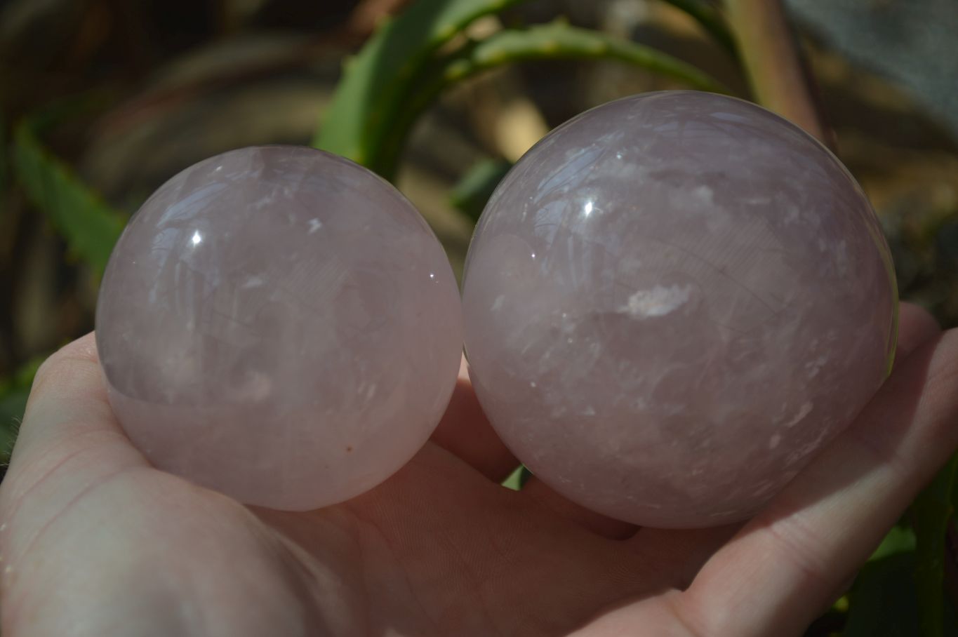 Polished Rare Star Rose Quartz Spheres x 3 From Ambatondrazaka, Madagascar - Toprock Gemstones and Minerals 