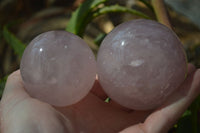 Polished Rare Star Rose Quartz Spheres x 3 From Ambatondrazaka, Madagascar - Toprock Gemstones and Minerals 