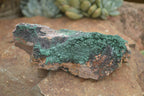 Natural Micro Botryoidal Crystalline Malachite Specimens  x 4 From Tenke Fungurume, Congo - TopRock