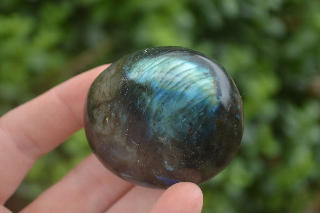 Polished Lovely Mixed Selection Of Palm Stones  x 12 From Madagascar - TopRock