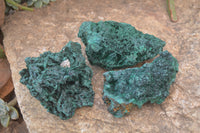 Natural Chatoyant Silky Malachite Specimens  x 3 From Kasompe, Congo - Toprock Gemstones and Minerals 