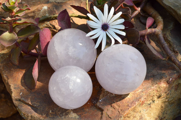 Polished Blue Tinted Rose Quartz Spheres  x 3 From Madagascar - TopRock
