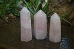 Polished Pink Rose Quartz Points  x 3 From Madagascar - Toprock Gemstones and Minerals 