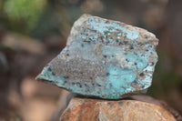 Natural Drusy Coated Chrysocolla Dolomite Specimens x 6 From Likasi, Congo - Toprock Gemstones and Minerals 