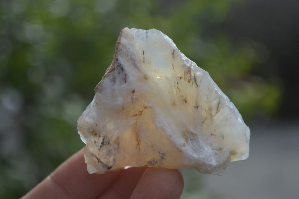 Natural Rough Dendritic White Opal Specimens  x 24 From Namibia - Toprock Gemstones and Minerals 