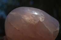 Polished Gemmy Pink Rose Quartz Standing Free Form x 1 From Ambatondrazaka, Madagascar - TopRock