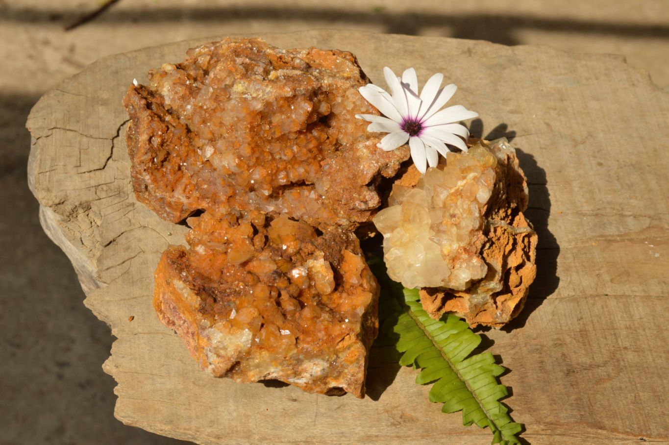 Natural Golden Limonite / Lemonite Quartz Clusters  x 3 From Mwinilunga, Zambia - TopRock