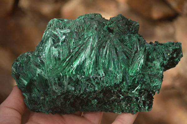 Polished  Chatoyant Silky Malachite Specimens  x 2 From Congo - Toprock Gemstones and Minerals 