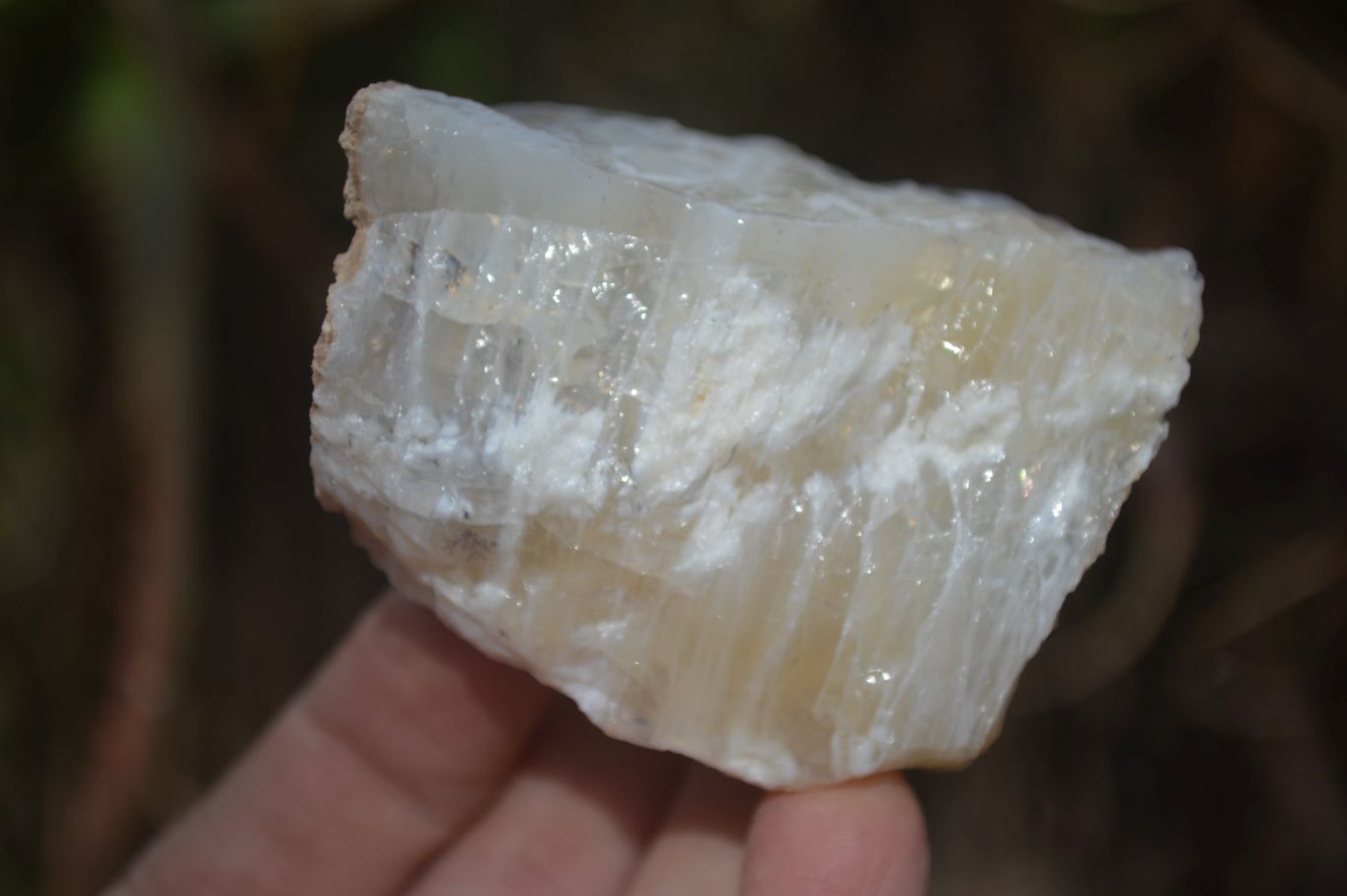 Natural Rough Dendritic White Opal Specimens  x 24 From Namibia - Toprock Gemstones and Minerals 