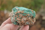 Natural Micro Botryoidal Crystalline Malachite Specimens  x 4 From Tenke Fungurume, Congo - TopRock
