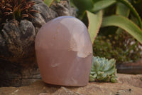 Polished Gemmy Pink Rose Quartz Standing Free Form x 1 From Ambatondrazaka, Madagascar - TopRock