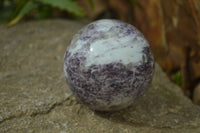Polished Purple Lepidolite Spheres  x 3 From Madagascar - Toprock Gemstones and Minerals 