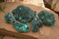 Natural Botryoidal Silky Malachite Specimens  x 5 From Congo - Toprock Gemstones and Minerals 