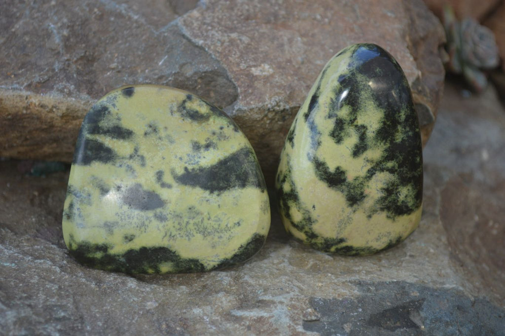 Polished Leopard Stone Free Forms  x 6 From Inyanga, Zimbabwe - Toprock Gemstones and Minerals 