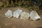 Natural Rough Dendritic White Opal Specimens  x 24 From Namibia - Toprock Gemstones and Minerals 