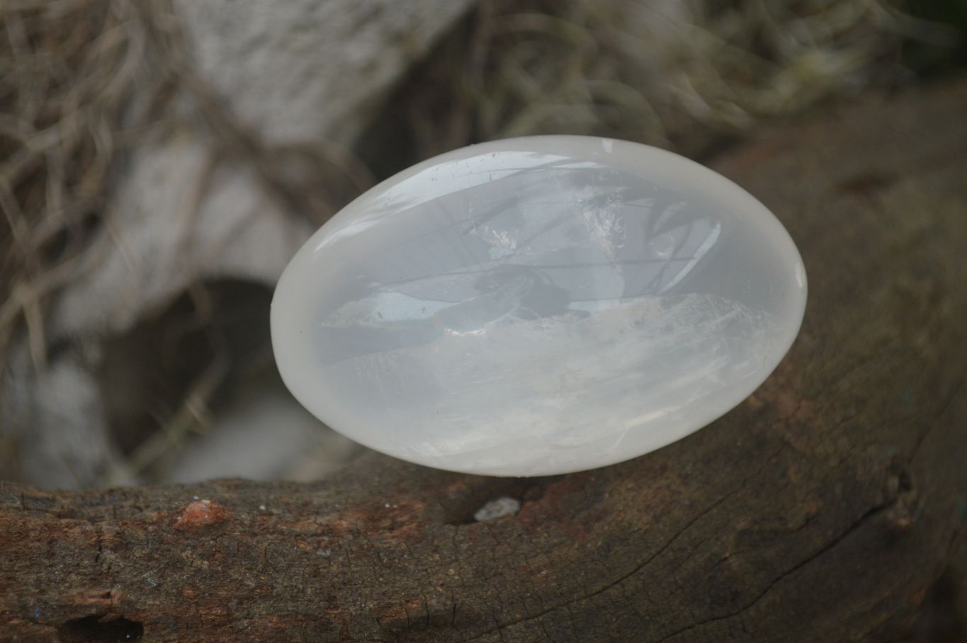 Polished Lovely Mixed Selection Of Palm Stones  x 12 From Madagascar - TopRock