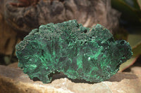 Polished  Chatoyant Silky Malachite Specimens  x 2 From Congo - Toprock Gemstones and Minerals 