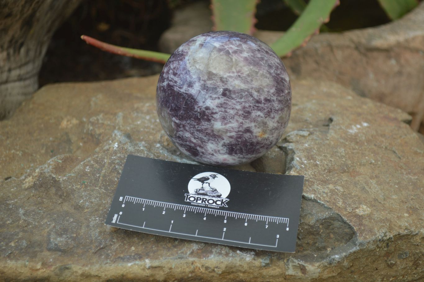 Polished Purple Lepidolite Spheres  x 3 From Madagascar - Toprock Gemstones and Minerals 