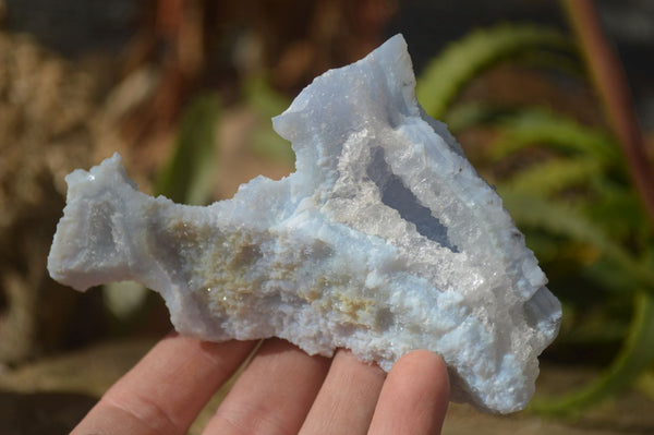 Natural Etched Blue Chalcedony Specimens  x 6 From Nsanje, Malawi - Toprock Gemstones and Minerals 