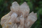 Natural White Phantom Smokey Quartz Clusters  x 3 From Congo - Toprock Gemstones and Minerals 