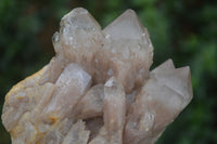 Natural White Phantom Smokey Quartz Clusters  x 3 From Congo - Toprock Gemstones and Minerals 
