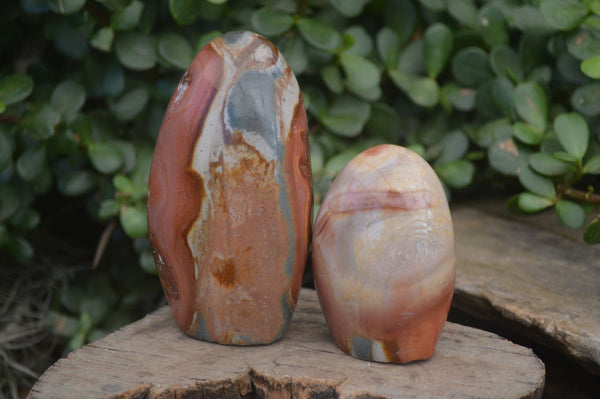 Polished Polychrome Jasper Standing Free Forms  x 6 From Mahajanga, Madagascar - Toprock Gemstones and Minerals 