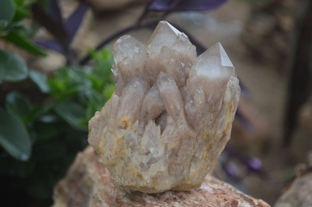 Natural White Phantom Smokey Quartz Clusters  x 3 From Congo - Toprock Gemstones and Minerals 