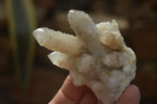 Natural Spirit Quartz Clusters x 6 From Boekenhouthoek, South Africa - Toprock Gemstones and Minerals 