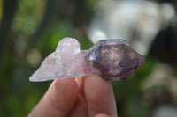 Natural Window Amethyst Crystal Specimens  x 12 From Chiredzi, Zimbabwe - Toprock Gemstones and Minerals 