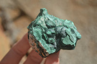 Natural Botryoidal Silky Malachite Specimens  x 5 From Congo - Toprock Gemstones and Minerals 