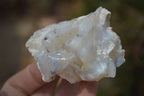 Natural Rough Dendritic White Opal Specimens  x 24 From Namibia - Toprock Gemstones and Minerals 
