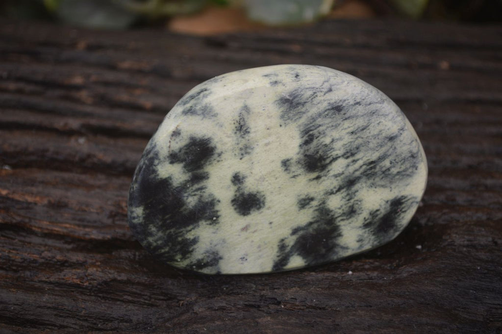 Polished Leopard Stone Free Forms  x 6 From Inyanga, Zimbabwe - Toprock Gemstones and Minerals 