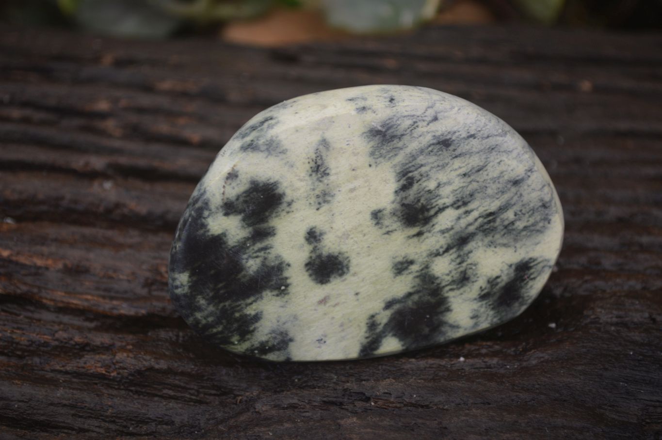 Polished Leopard Stone Free Forms  x 6 From Inyanga, Zimbabwe - Toprock Gemstones and Minerals 