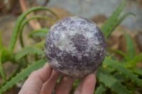 Polished Purple Lepidolite Spheres  x 3 From Madagascar - Toprock Gemstones and Minerals 