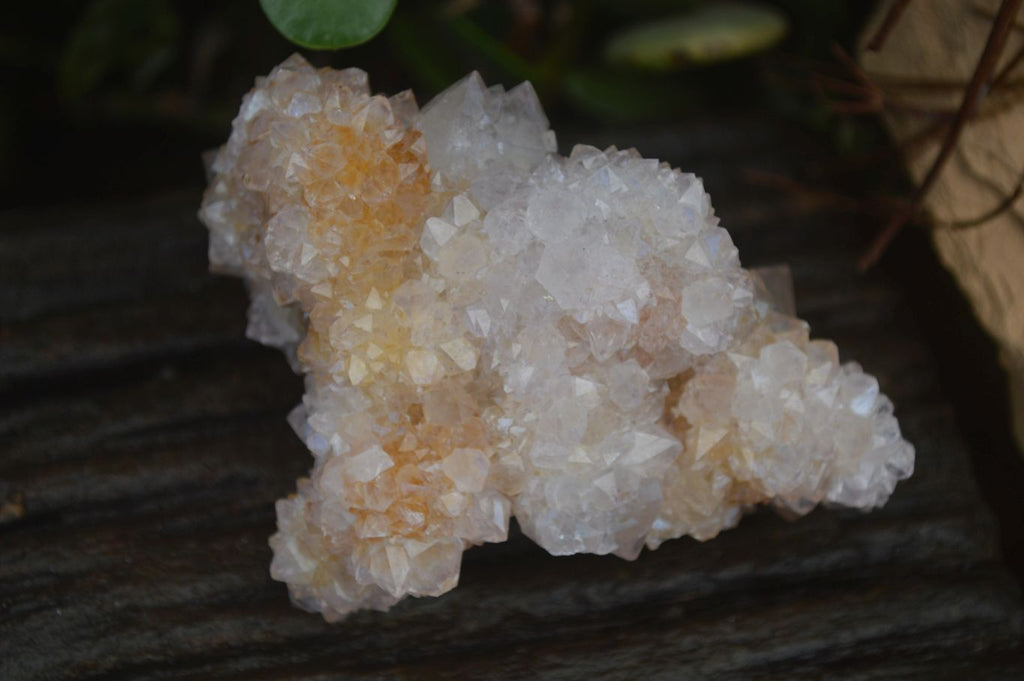 Natural Mixed Spirit Quartz Clusters x 7 From Boekenhouthoek, South Africa - Toprock Gemstones and Minerals 
