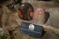 Polished Polychrome Jasper Standing Free Forms  x 6 From Mahajanga, Madagascar - Toprock Gemstones and Minerals 