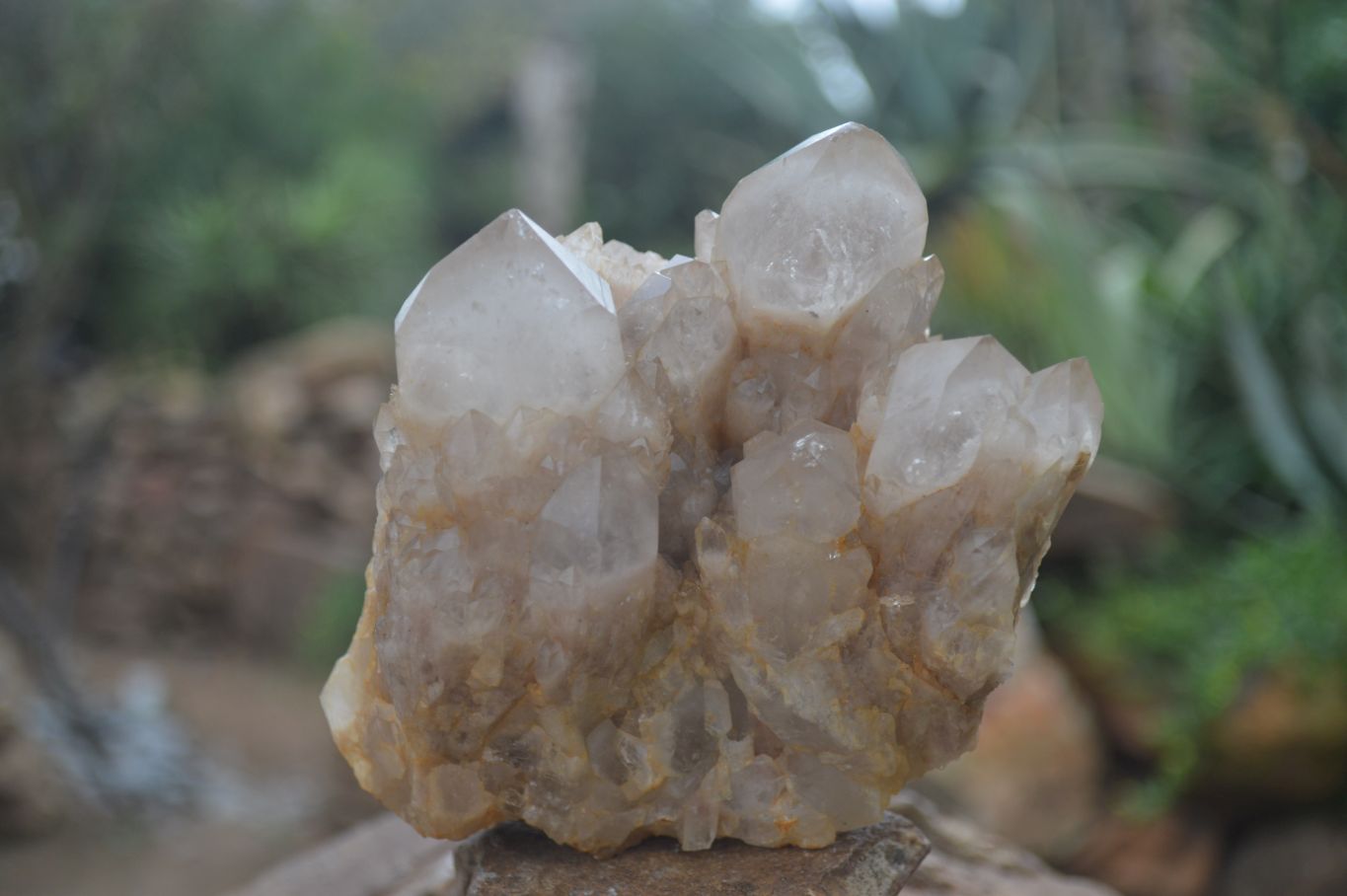 Natural White Phantom Smokey Quartz Clusters  x 3 From Congo - Toprock Gemstones and Minerals 