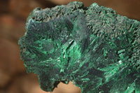 Polished  Chatoyant Silky Malachite Specimens  x 2 From Congo - Toprock Gemstones and Minerals 
