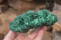 Natural Chatoyant Silky Malachite Specimens  x 3 From Kasompe, Congo - Toprock Gemstones and Minerals 